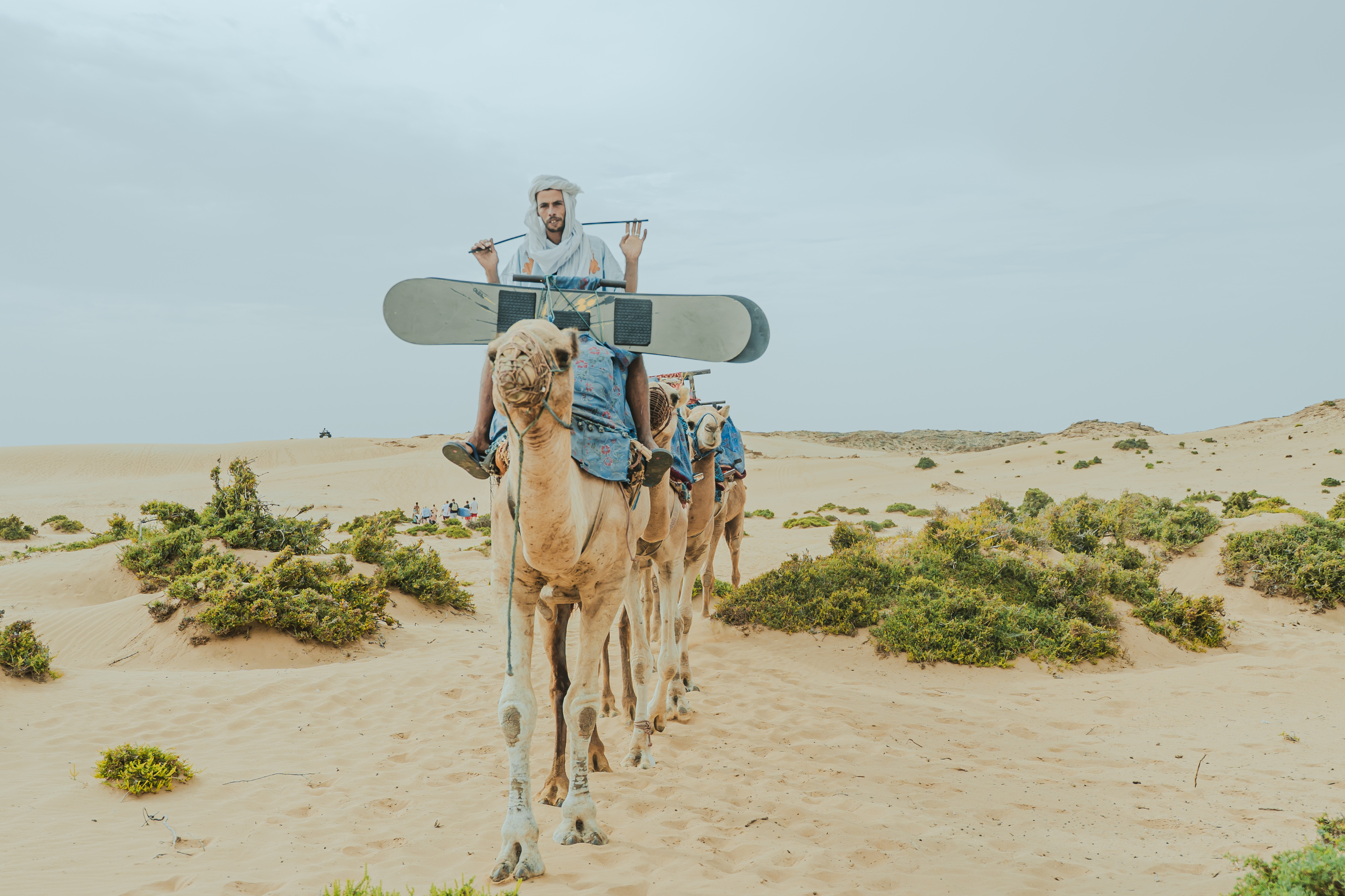 Surf Morocco